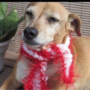 Christmas White Dog Scarf with Red Fur Trim Size Small 3”x23”
